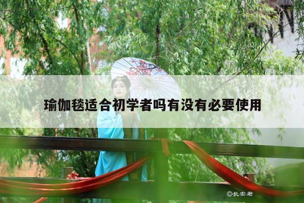 瑜伽毯适合初学者吗有没有必要使用