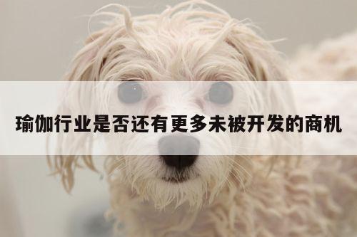 瑜伽行业是否还有更多未被开发的商机