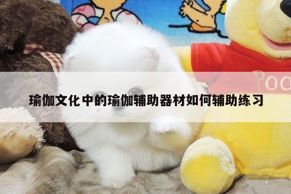 瑜伽文化中的瑜伽辅助器材如何辅助练习