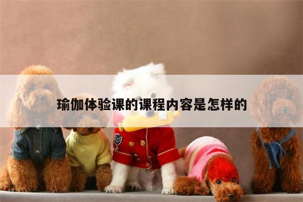 瑜伽体验课的课程内容是怎样的