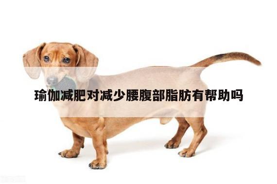 瑜伽减肥对减少腰腹部脂肪有帮助吗