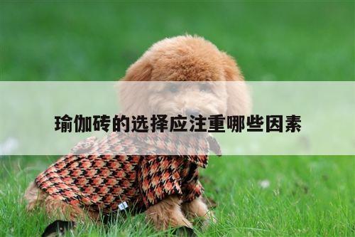 瑜伽砖的选择应注重哪些因素