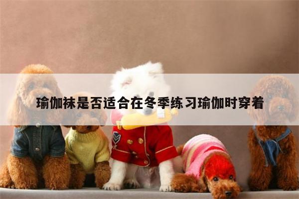 瑜伽袜是否适合在冬季练习瑜伽时穿着