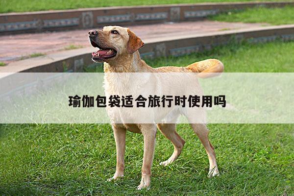 瑜伽包袋适合旅行时使用吗