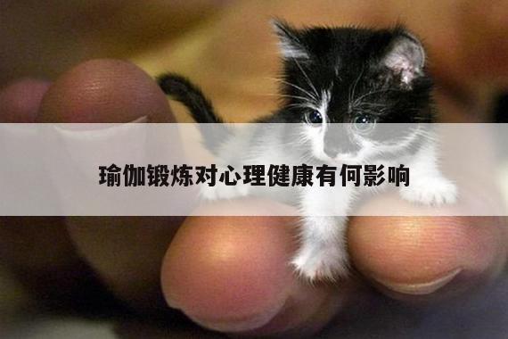 瑜伽锻炼对心理健康有何影响