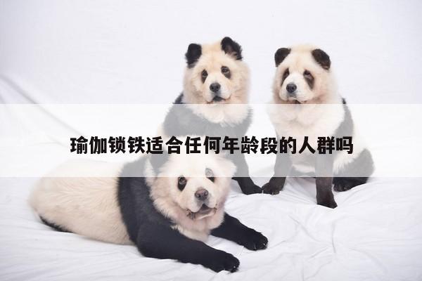 瑜伽锁铁适合任何年龄段的人群吗