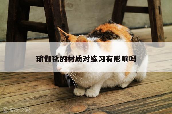 瑜伽毯的材质对练习有影响吗