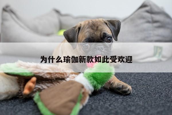 为什么瑜伽新款如此受欢迎