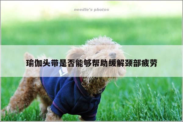 瑜伽头带是否能够帮助缓解颈部疲劳