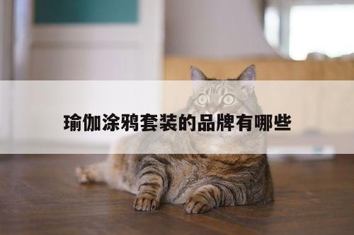 瑜伽涂鸦套装的品牌有哪些