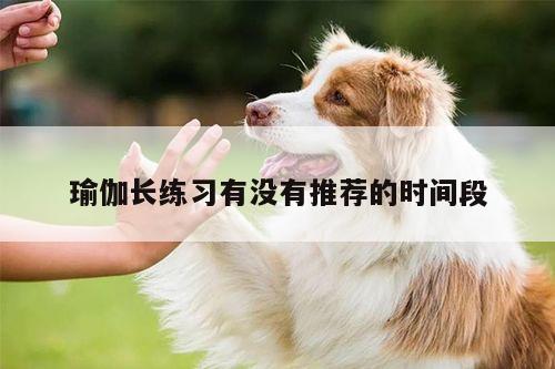 瑜伽长练习有没有推荐的时间段