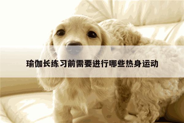 瑜伽长练习前需要进行哪些热身运动