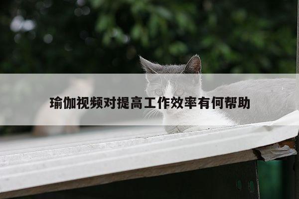 瑜伽视频对提高工作效率有何帮助