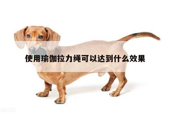 使用瑜伽拉力绳可以达到什么效果