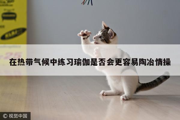 在热带气候中练习瑜伽是否会更容易陶冶情操