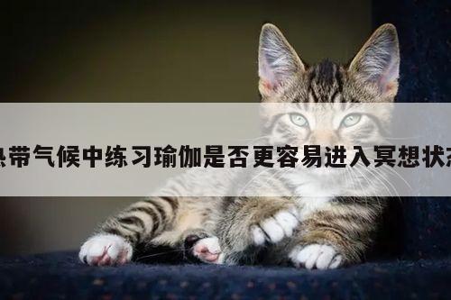 热带气候中练习瑜伽是否更容易进入冥想状态