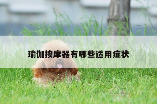 瑜伽按摩器有哪些适用症状