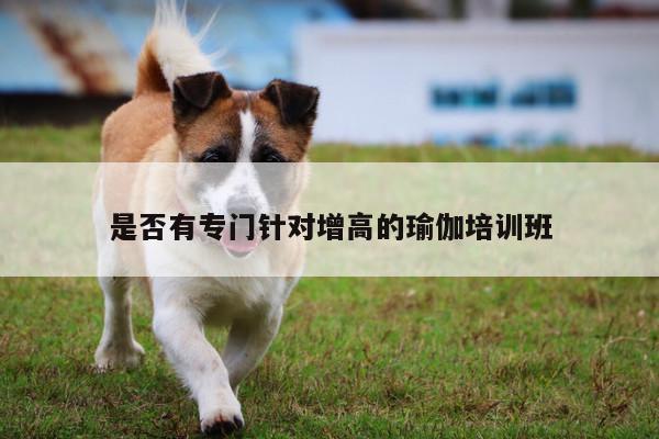 是否有专门针对增高的瑜伽培训班