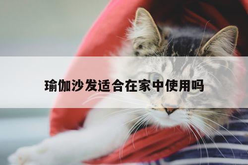 瑜伽沙发适合在家中使用吗