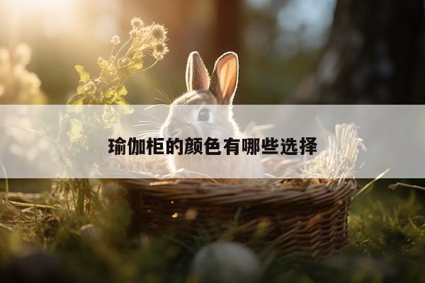 瑜伽柜的颜色有哪些选择