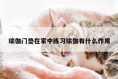 瑜伽门垫在家中练习瑜伽有什么作用