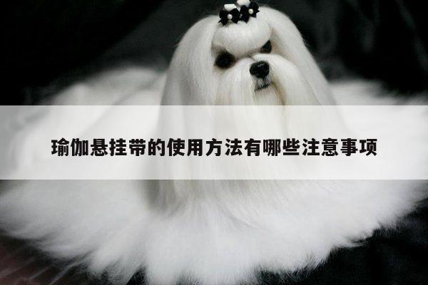 瑜伽悬挂带的使用方法有哪些注意事项