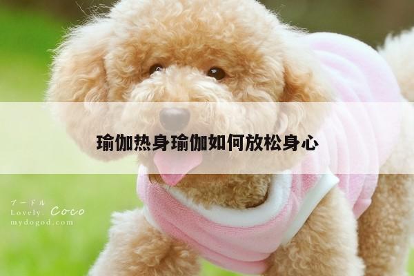 瑜伽热身瑜伽如何放松身心