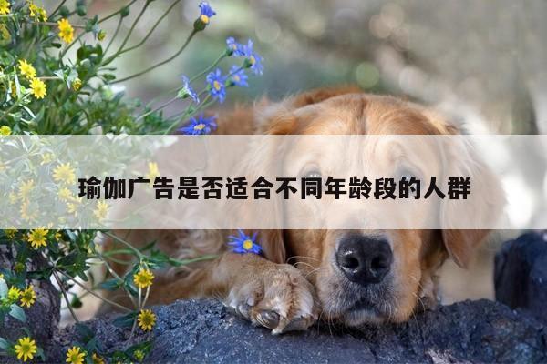 瑜伽广告是否适合不同年龄段的人群