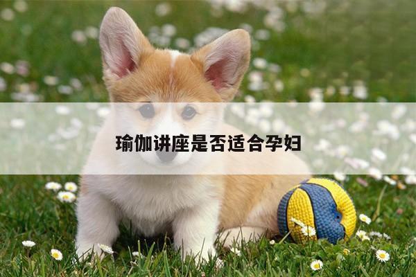 瑜伽讲座是否适合孕妇