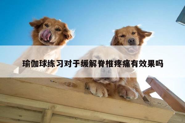 瑜伽球练习对于缓解脊椎疼痛有效果吗