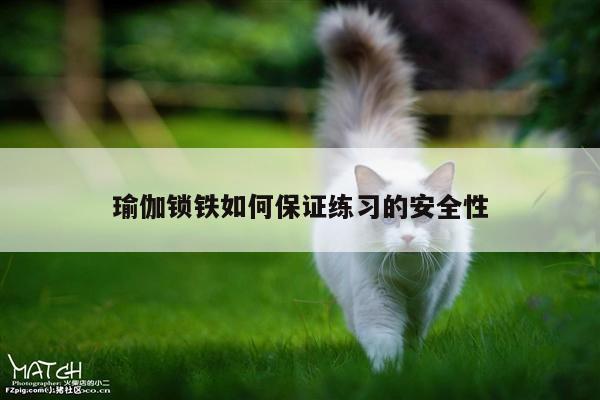 瑜伽锁铁如何保证练习的安全性