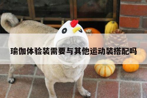 瑜伽体验装需要与其他运动装搭配吗