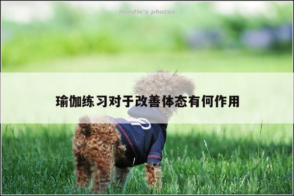 瑜伽练习对于改善体态有何作用