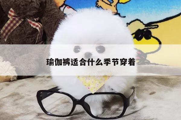 瑜伽裤适合什么季节穿着