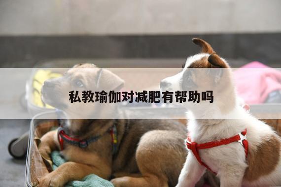 私教瑜伽对减肥有帮助吗