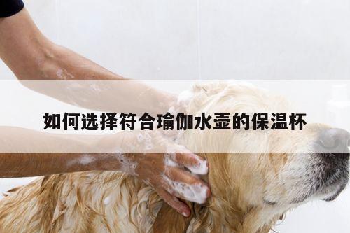 如何选择符合瑜伽水壶的保温杯