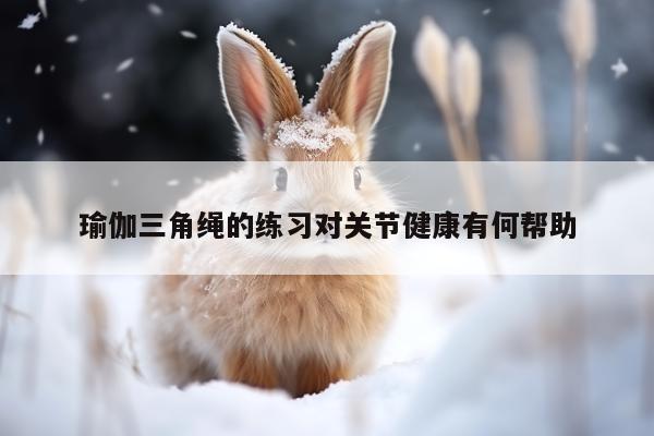 瑜伽三角绳的练习对关节健康有何帮助