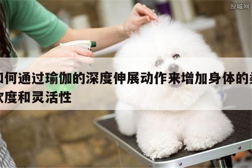 如何通过瑜伽的深度伸展动作来增加身体的柔软度和灵活性