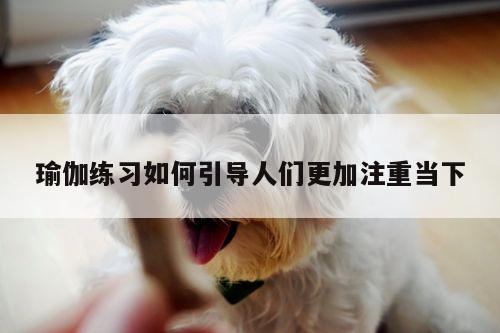 瑜伽练习如何引导人们更加注重当下