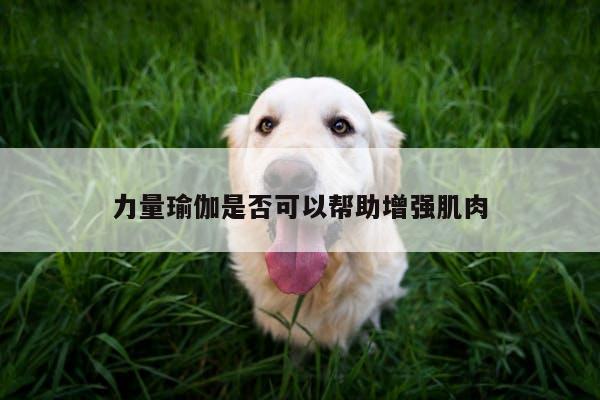 力量瑜伽是否可以帮助增强肌肉