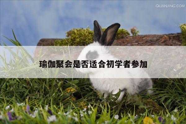 瑜伽聚会是否适合初学者参加
