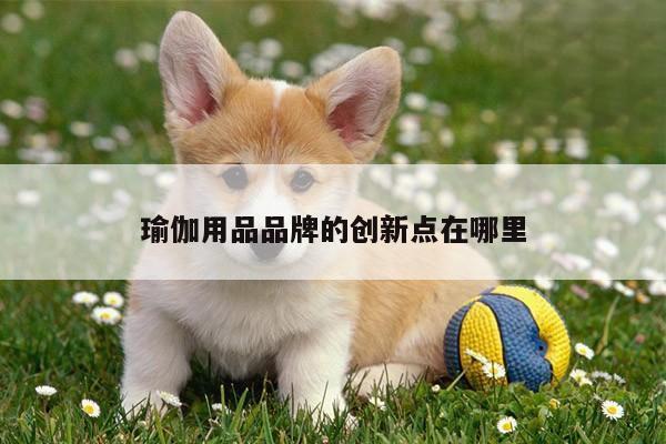 瑜伽用品品牌的创新点在哪里