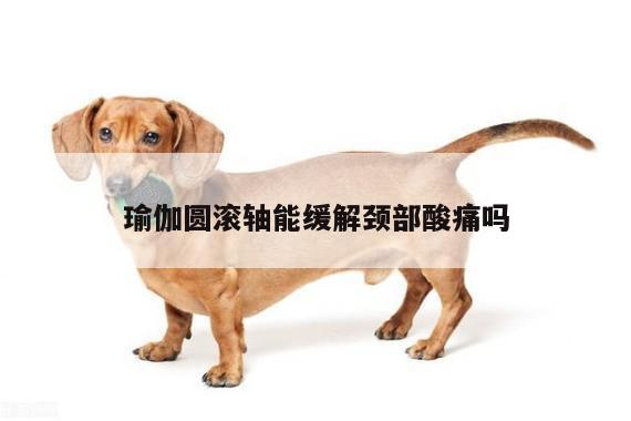 瑜伽圆滚轴能缓解颈部酸痛吗